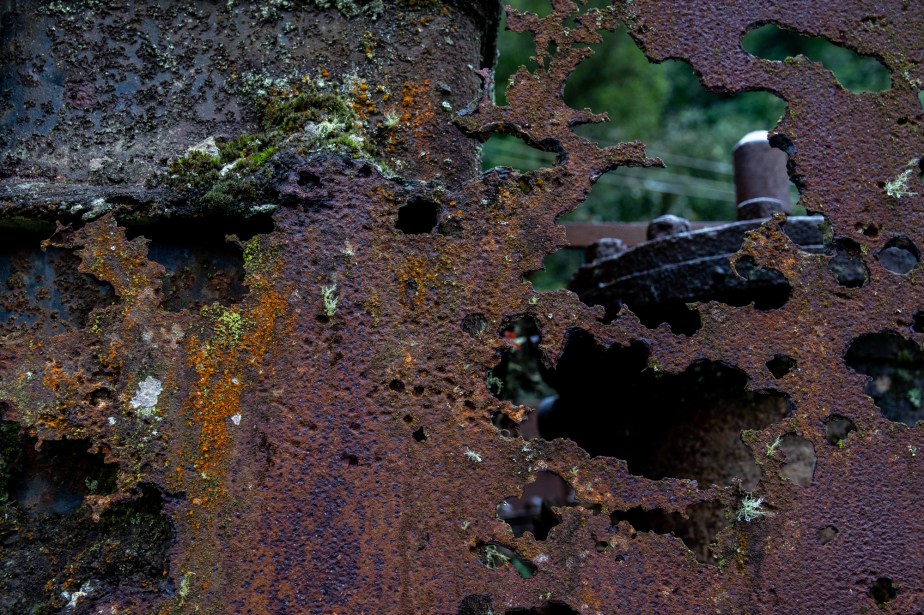 2 Ferrugem Ppiacaba Nikon (18) 16Set18-1