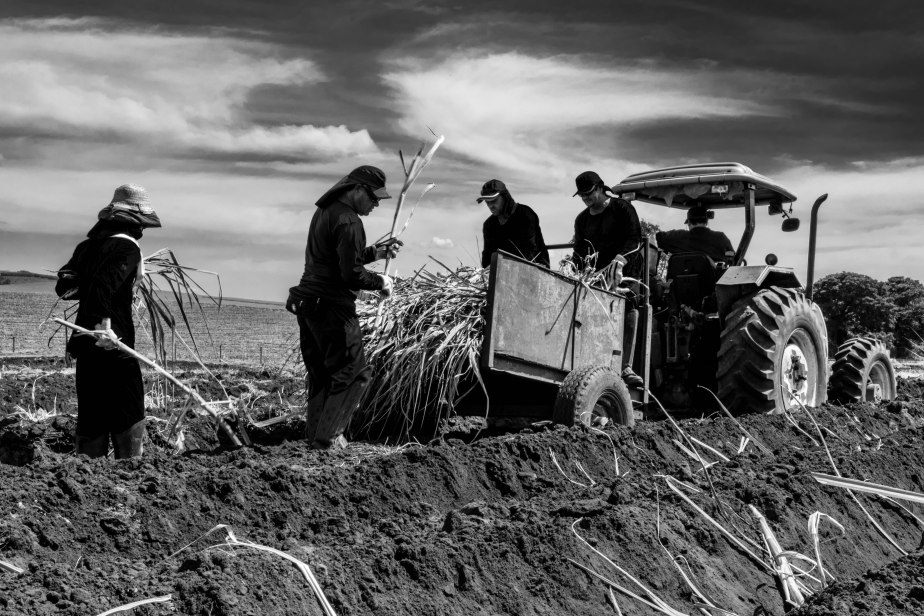 8 Plantadores de cana Usina Ipiranga (2) 14Abr2018-1