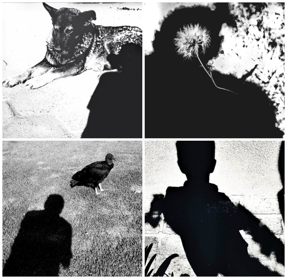 collage beauty in the mundane3