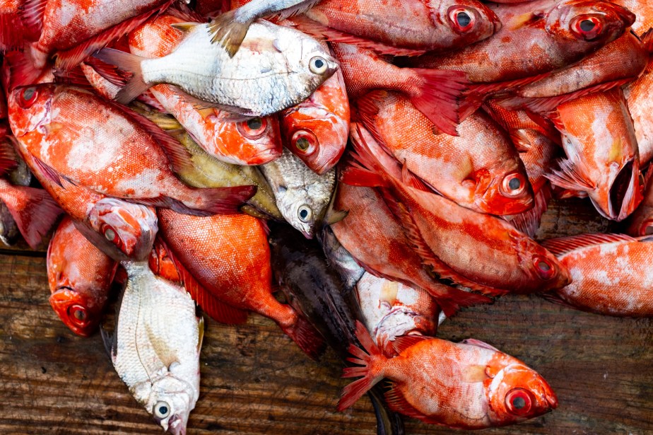 garopaba sc (2) dez18-1