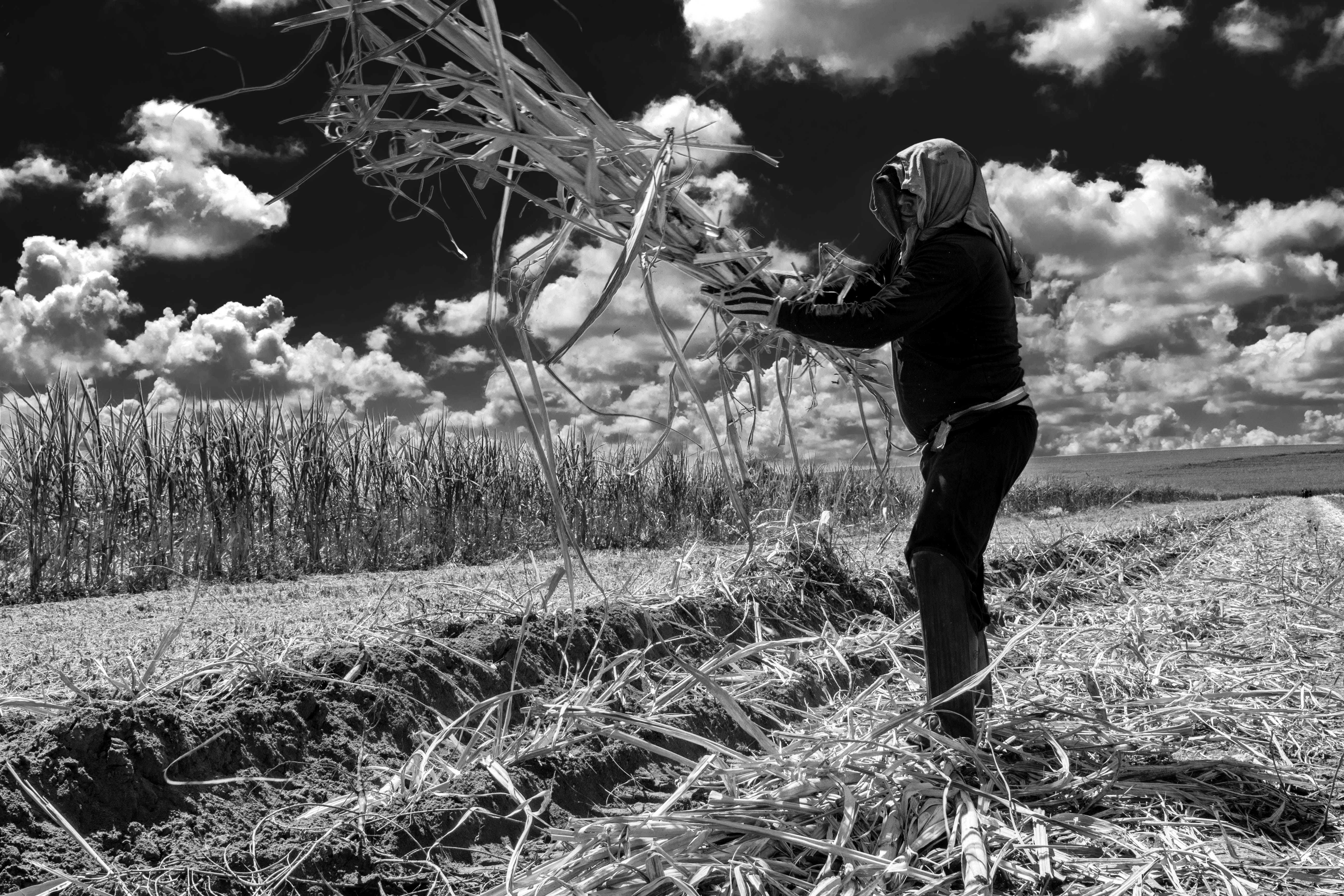 trabalhadores_rurais_03