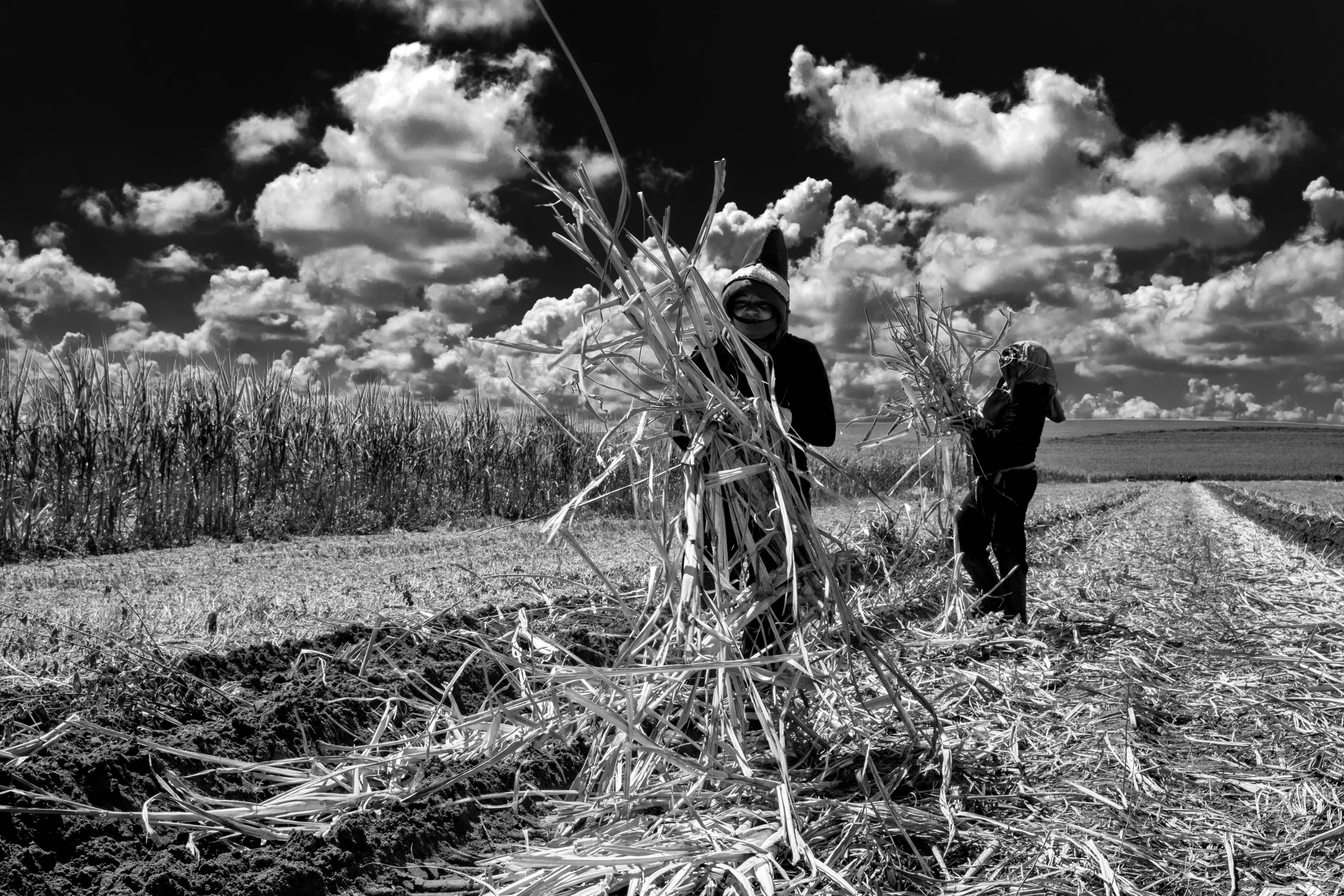 trabalhadores_rurais_04