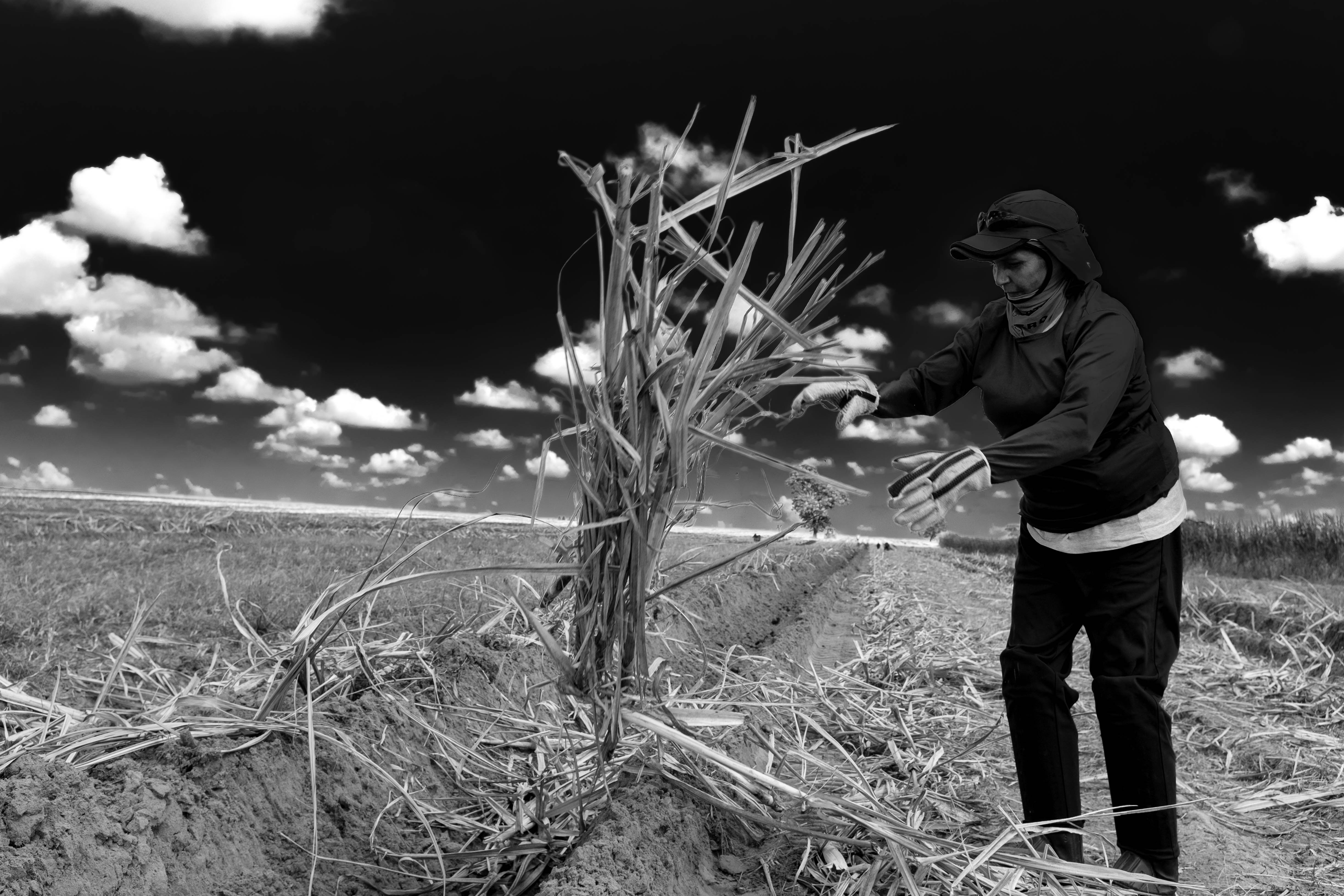 trabalhadores_rurais_07