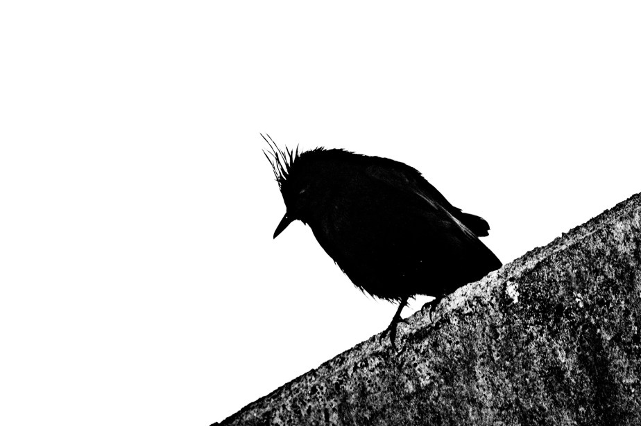 Black and white photography and&nbsp;me.