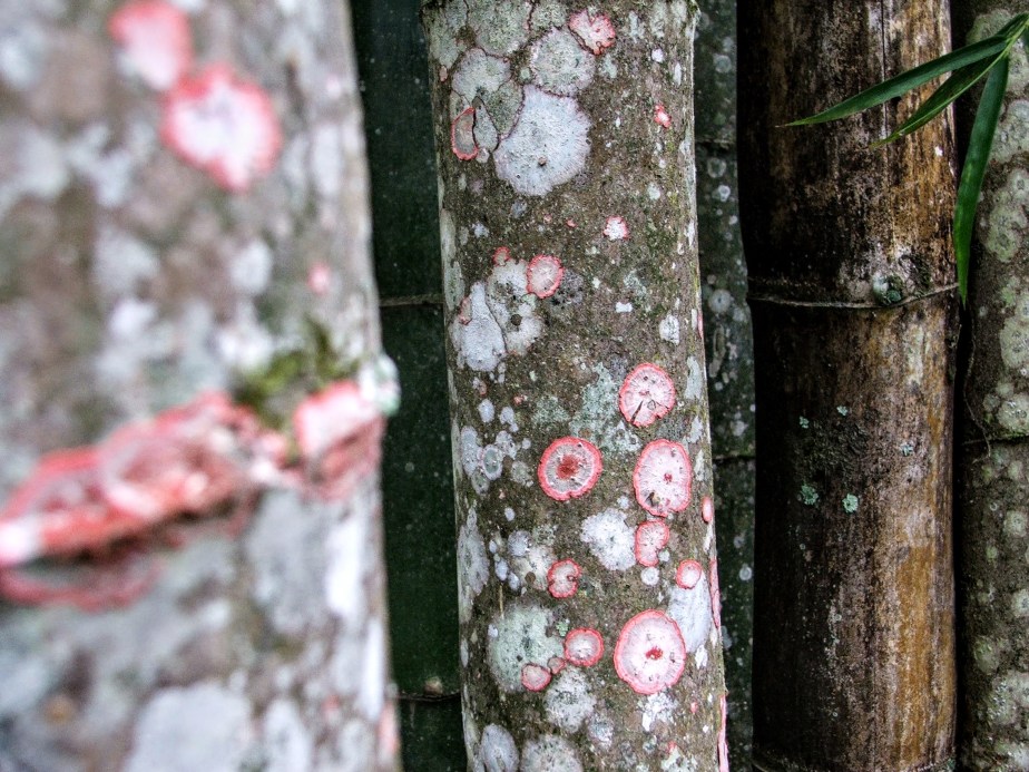 Colors and textures for the sake of colors and&nbsp;textures