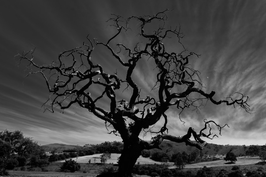 Zona Rural Carmo Rio Claro 31jan19-1