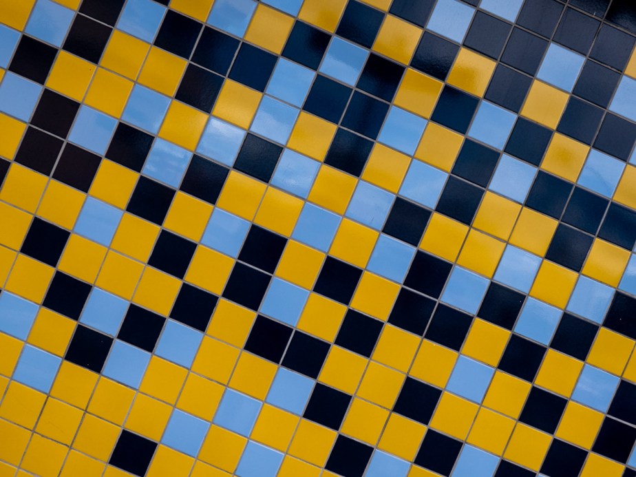 Colors &amp; Textures (107) Sanca 05Mar19 (1 of 1)