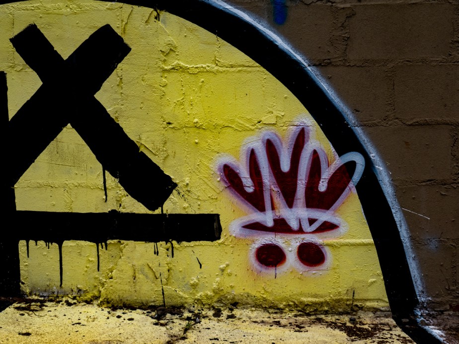 Colors &amp; Textures (135) Sanca 05Mar19 (1 of 1)