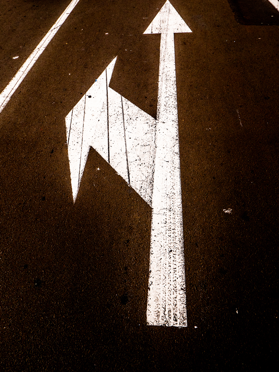 Colors &amp; Textures (18) Sanca 05Mar19 (1 of 1)