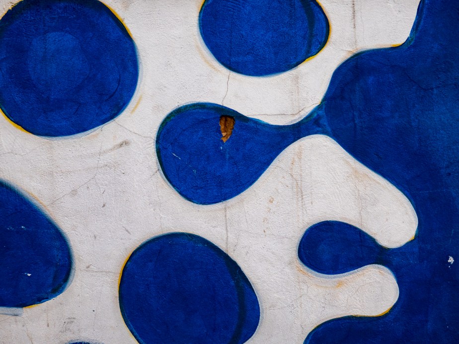 Colors &amp; Textures (34) Sanca 05Mar19 (1 of 1)