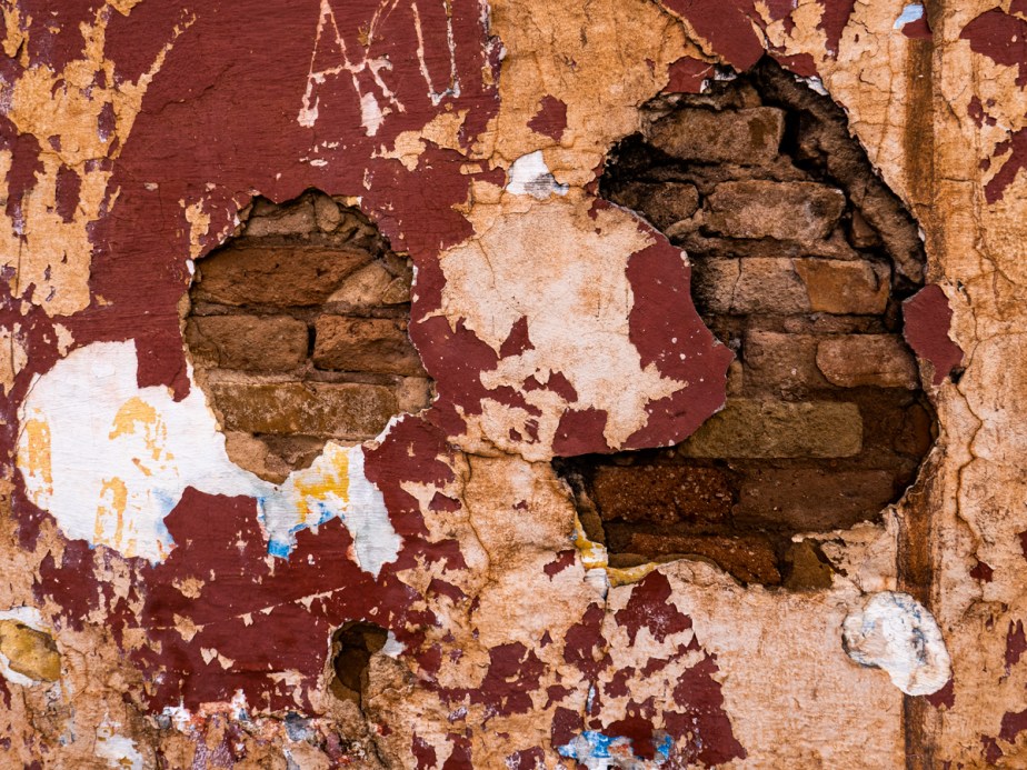 Colors &amp; Textures (56) Sanca 05Mar19 (1 of 1)