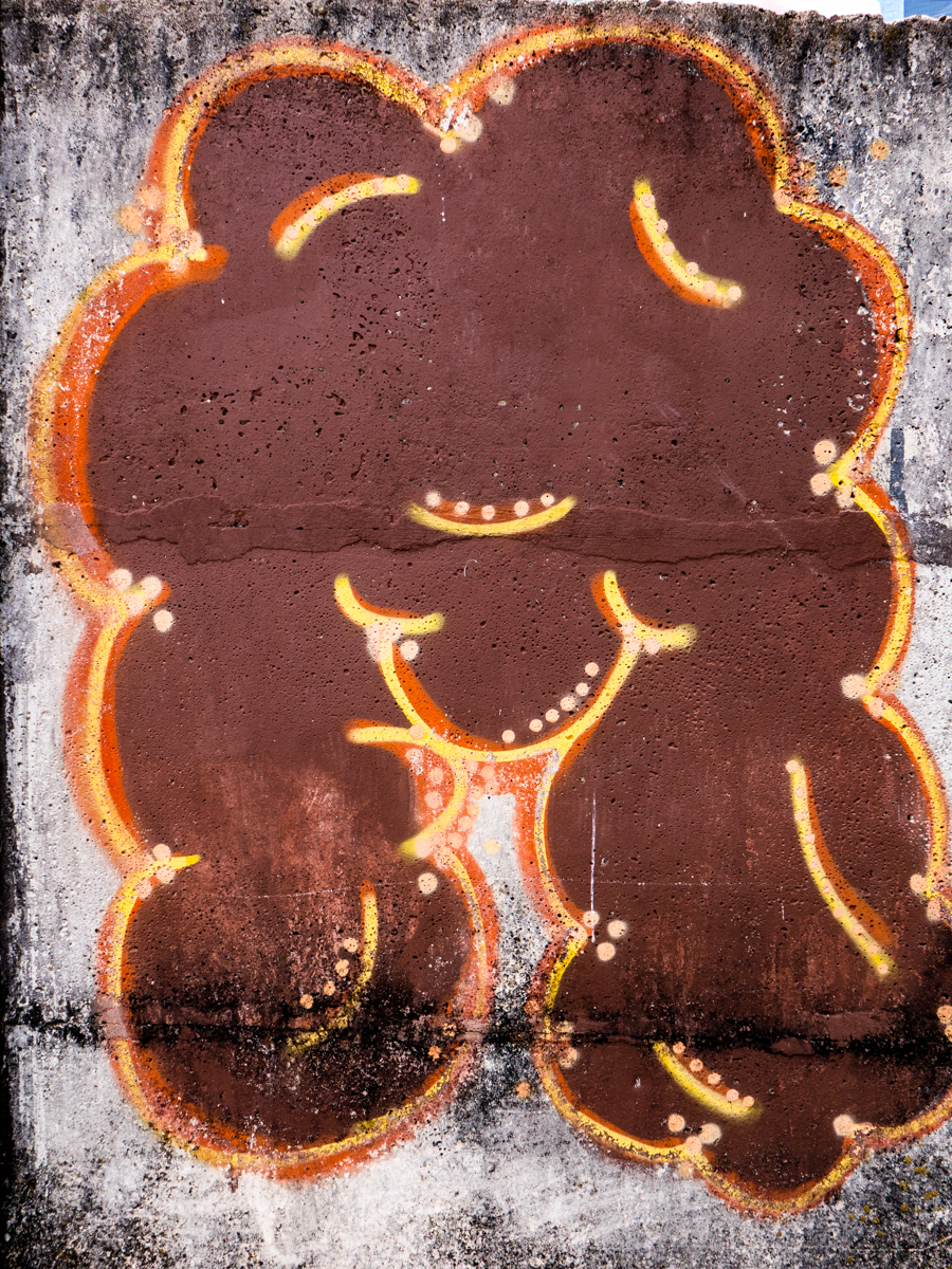 Colors &amp; Textures (88) Sanca 05Mar19 (1 of 1)