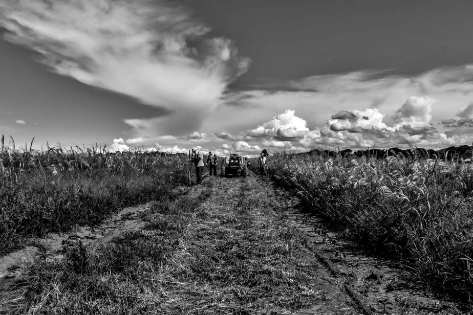 59415095_2312569012099842_6785656862885806080_o