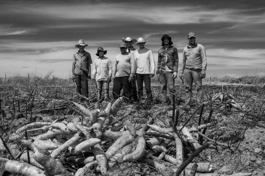 1 Colheita Mandioca Faz Uru Nikon D500 (72) 20_23Jul19 (1 of 1)-2