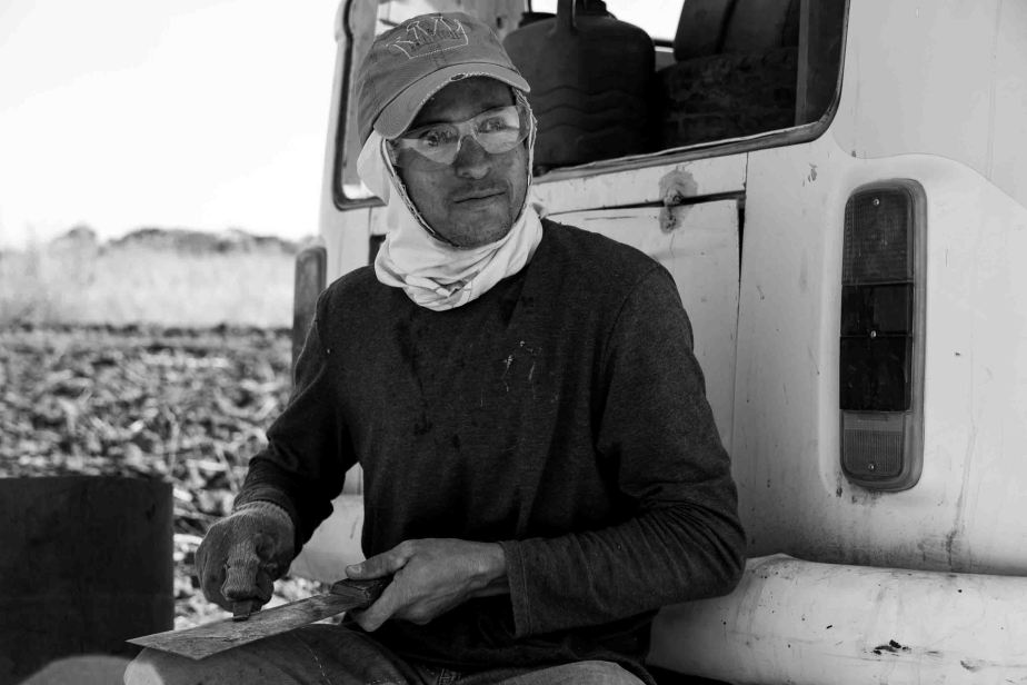 22 Colheita Mandioca Faz Uru Nikon D500 (72a) 20_23Jul19 (1 of 1)