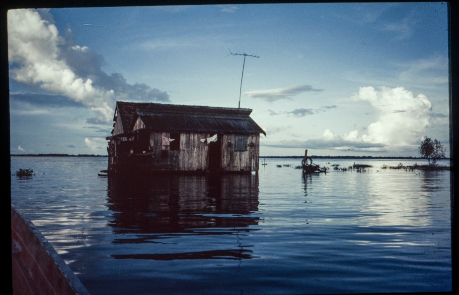 Save the largest tropical rainforest in the world: the&nbsp;Amazon.