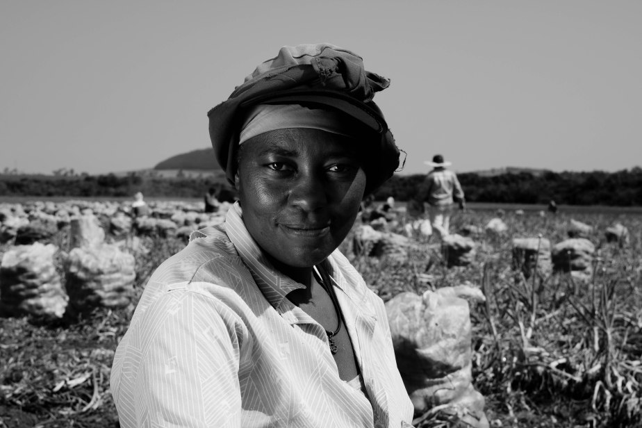 The faces of men and women of the&nbsp;field