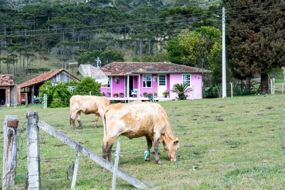 The colorful little wooden houses of Santa Catarina,&nbsp;Brasil.