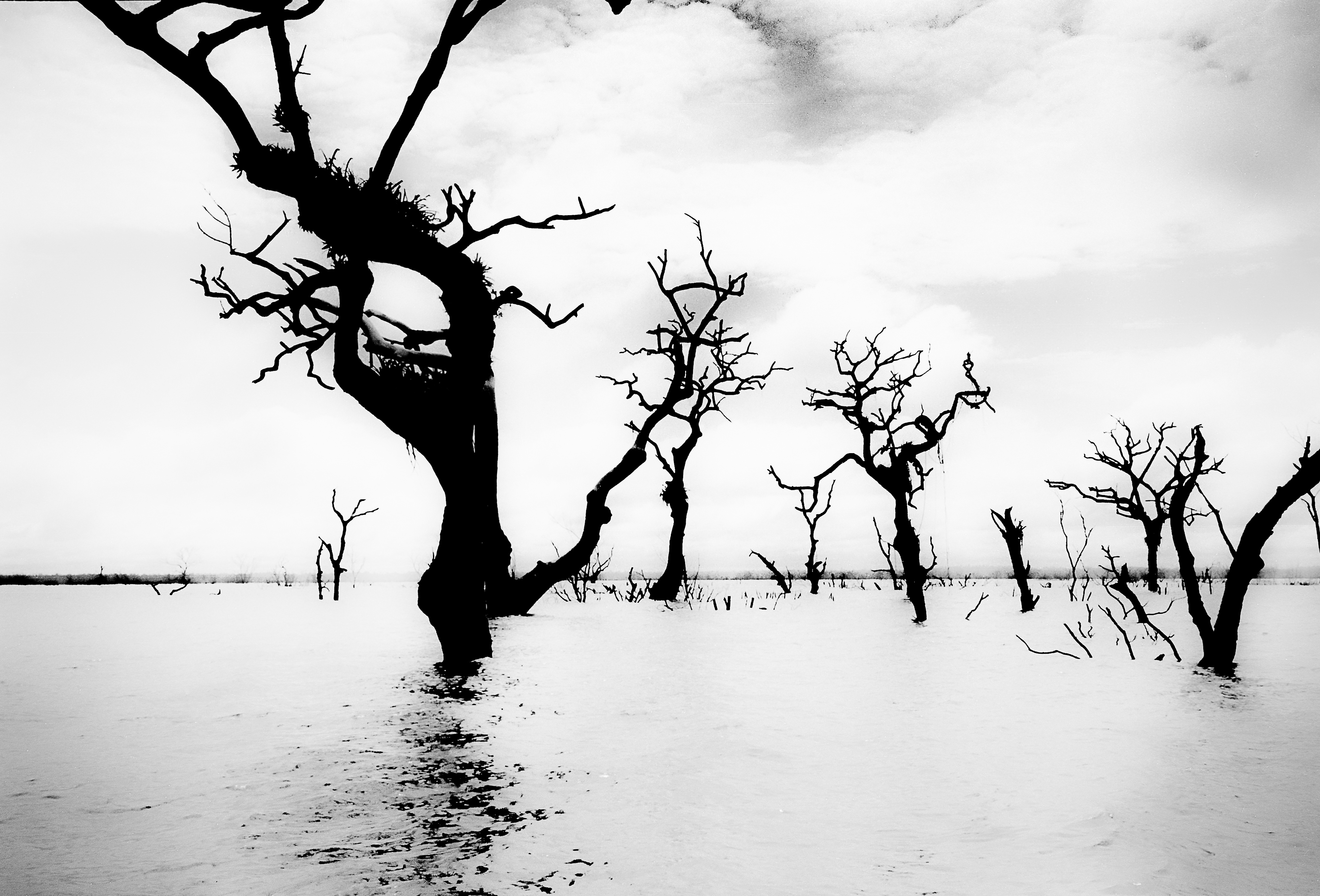 1a Tucurui Fuji Superia 100 Fev 1988