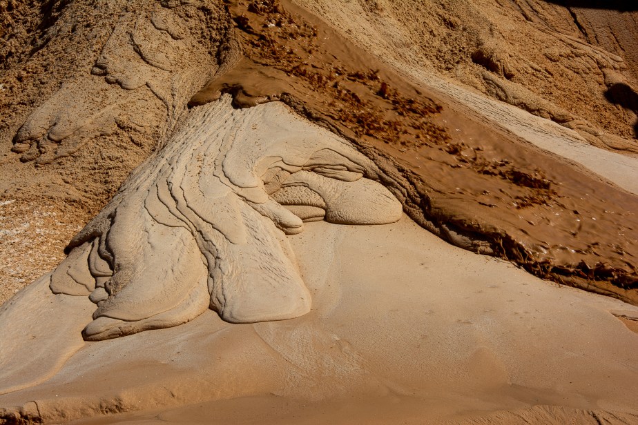 found still life: the beauty of&nbsp;nature