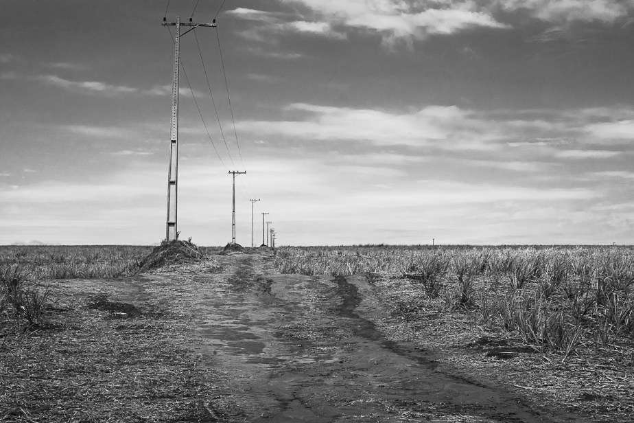 A vernacular elegy to the&nbsp;countryside