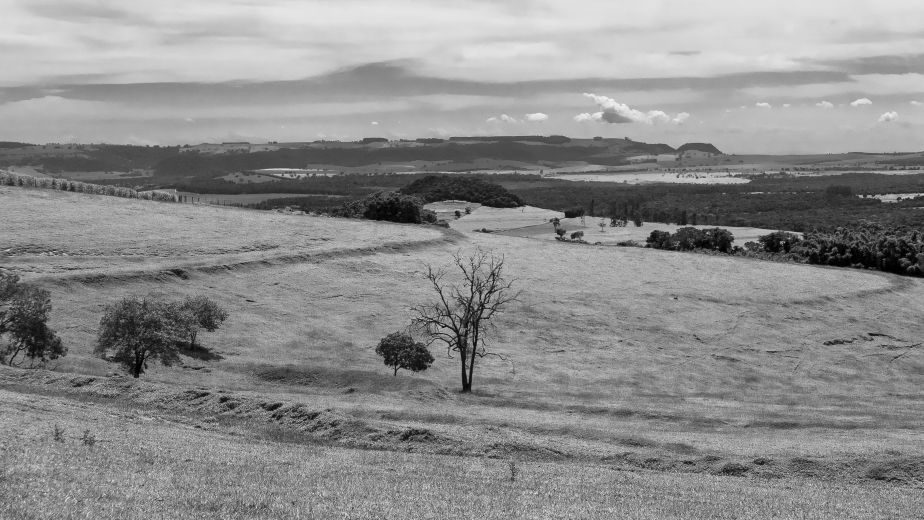 [not to say that I didn’t speak, I didn’t photograph&nbsp;landscapes]